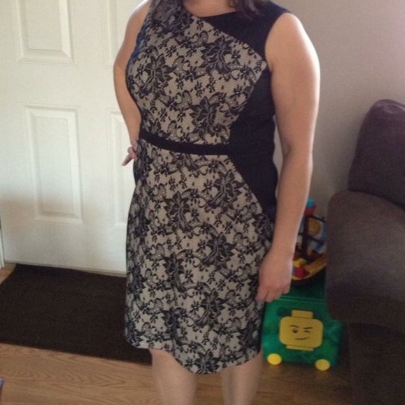dress barn for women's sizes